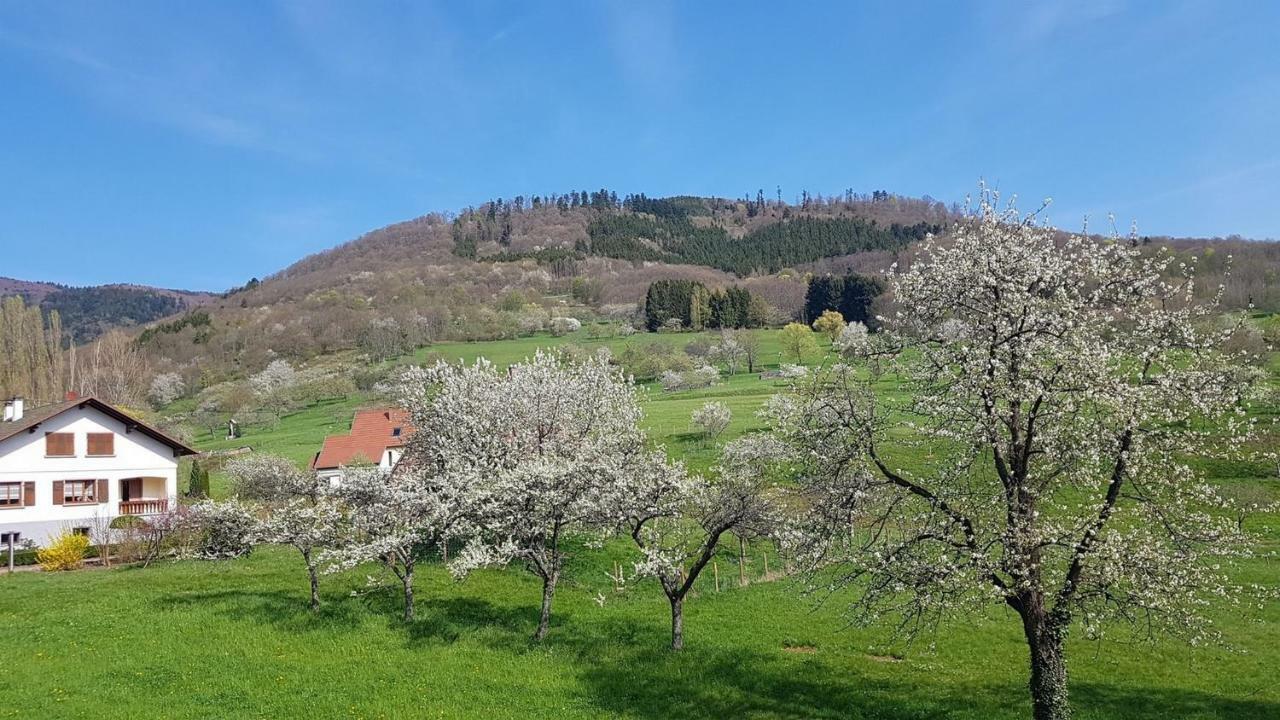Le Breit Maison De Charme Avec Sa Dependance Breitenbach Buitenkant foto